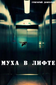Муха в лифте - Татьяна Суворова