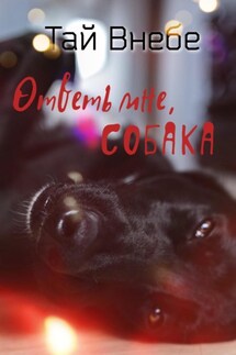 Ответь мне, собака - Тай Внебе