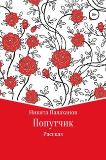 Попутчик - Никита Палаханов