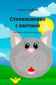 Столкновение с квочкой. Рассказы о домашних животных - Владимир Трофимов