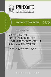 Координация пространственного и отраслевого развития в рамках кластеров. Опыт зарубежных стран - Алла Сорокина