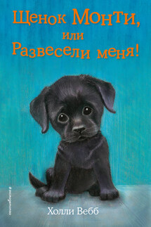 Щенок Монти, или Развесели меня! - Холли Вебб
