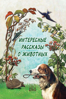 Интересные рассказы о животных - Н. Рудакова