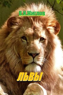 Львы - В. Жиглов