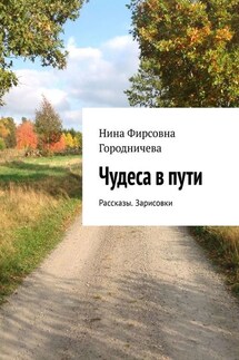 Чудеса в пути. Рассказы. Зарисовки - Нина Городничева
