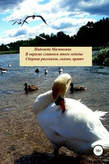 В оврагах слишком много лебеды… - Надежда Малинкина