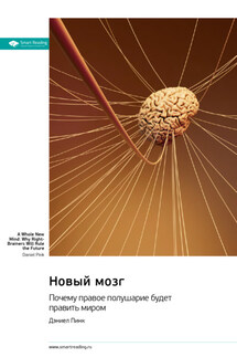 Новый мозг. Почему правое полушарие будет править миром. Дэниел Пинк. Саммари - Smart Reading