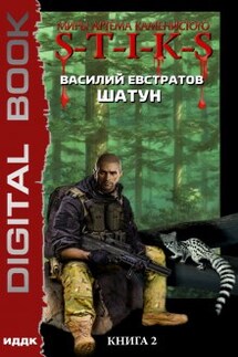 Миры Артёма Каменистого. S-T-I-K-S. Шатун. Книга 2 - ИДДК