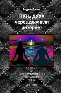 Путь Духа через джунгли интернет - Вадим Басов
