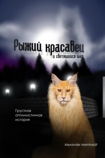 Рыжий красавец и светящийся шар - Alexander Meinhardt