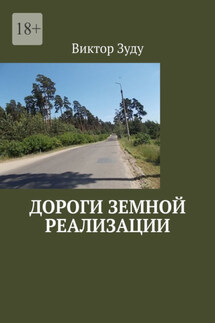 Дороги земной реализации - Виктор Зуду