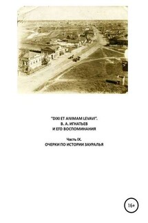 «DIXI ET ANIMAM LEVAVI». В. А. Игнатьев и его воспоминания. Часть IX. Очерки по истории Зауралья - Василий Алексеевич Игнатьев, Виталий Георгиевич Бояршинов