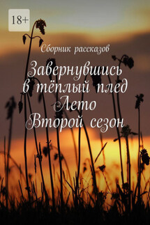 Завернувшись в тёплый плед. Лето. Второй сезон - Дарья Гайдай, Алёна Бондарук