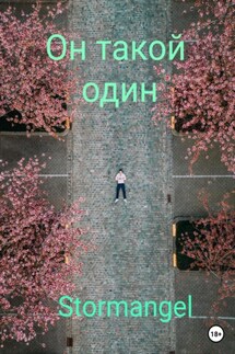 Он такой один - Stormangel