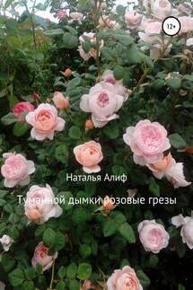 Туманной дымки розовые грезы - Наталья Алиф