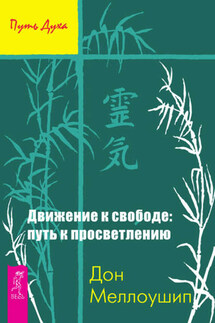 Движение к свободе: путь к просветлению - Дон Меллоушип