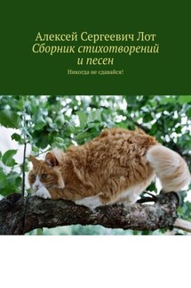 Сборник стихотворений и песен. Никогда не сдавайся! - Алексей Лот