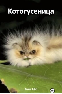 Котогусеница - Ансанг Офит