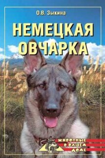 Немецкая овчарка - Ольга Зыкина