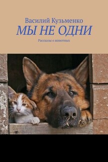 МЫ НЕ ОДНИ. Рассказы о животных - Василий Кузьменко