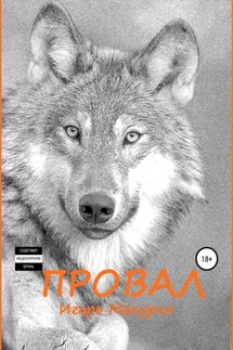 Провал - Игорь Макурин