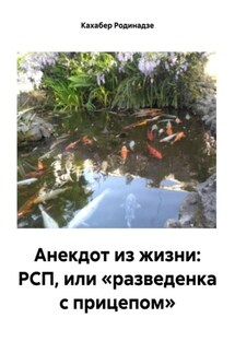 Анекдот из жизни: РСП, или «разведенка с прицепом» - Кахабер Родинадзе