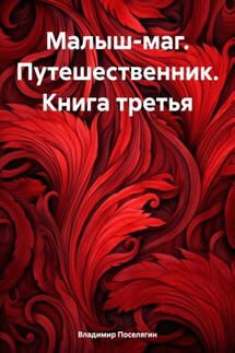 Малыш-маг. Путешественник. Книга третья - Владимир Поселягин