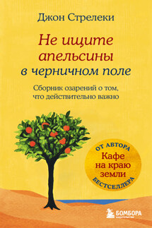 Не ищите апельсины в черничном поле. Сборник озарений о том, что действительно важно - Джон П. Стрелеки