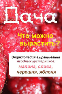 Что можно вырастить? Энциклопедия выращивания ягодных кустарников: малина, слива, черешня, яблоня - Илья Мельников