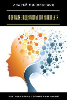 Формула эмоционального интеллекта. Как управлять своими чувствами - Андрей Миллиардов
