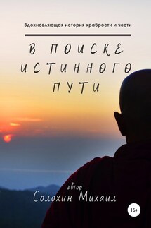 В поиске истинного пути - Михаил Солохин