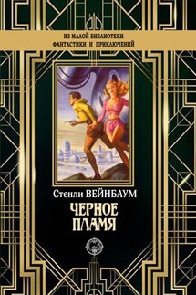 Черное пламя - Стенли Вейнбаум