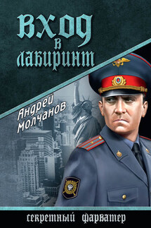 Вход в лабиринт - Андрей Молчанов