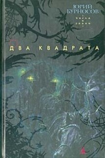 Два квадрата - Юрий Бурносов