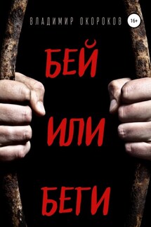 Бей или беги - Владимир Окороков