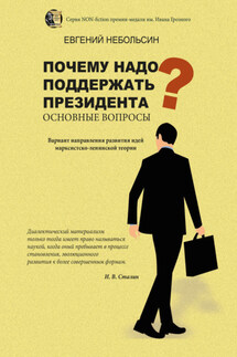 Почему надо поддержать президента? Основные вопросы - Евгений Небольсин
