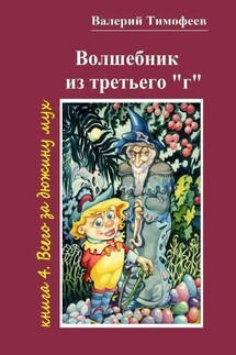 Волшебник из третьего «г». Книга 4. Всего за дюжину мух - Валерий Тимофеев