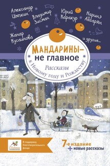 Мандарины – не главное. Рассказы к Новому году и Рождеству - Мария Рупасова, Виктория Кирдий