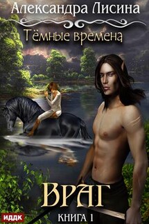 Темные времена. Книга 1. Враг. Александра Лисина - ИДДК Компания
