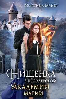 Нищенка в Королевской Академии магии. Зимняя практика 2 - Кристина Майер