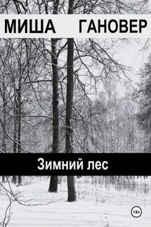 Зимний лес - Миша Гановер