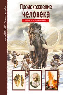 Происхождение человека - Ирина Рябинина
