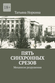 Пять синхронных срезов. Механизм разрушения - Татьяна Норкина