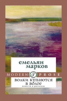 Волки купаются в Волге