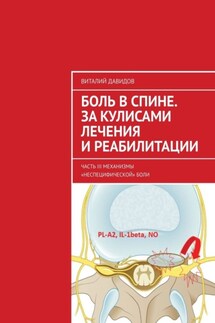 Боль в спине. За кулисами лечения и реабилитации. Часть III. Механизмы «неспецифической» боли - Виталий Давидов