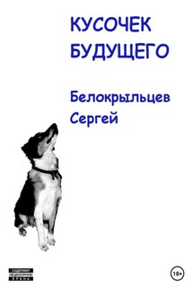 Кусочек будущего - Сергей Белокрыльцев