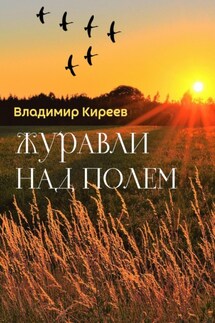 Журавли над полем - Владимир Киреев