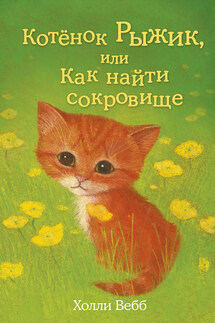 Котёнок Рыжик, или Как найти сокровище - Холли Вебб