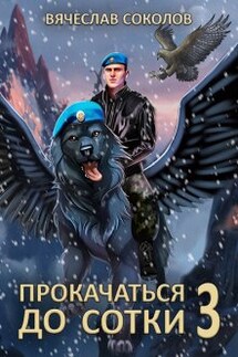 Прокачаться до сотки 3 - Вячеслав Соколов