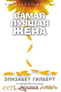 Самая лучшая жена (сборник) - Элизабет Гилберт